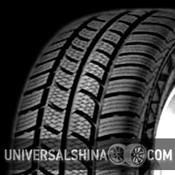 VancoWinter 2 205/65R16C 107/105 T